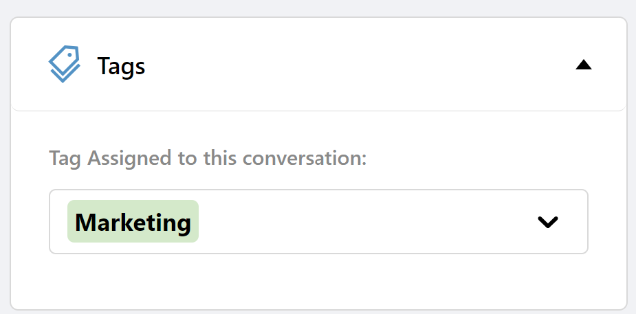 Tags panel with Marketing tag assigned